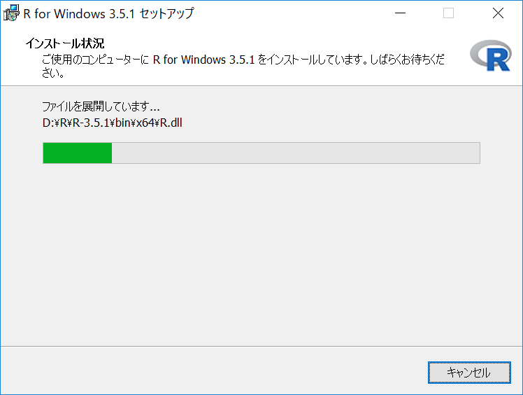 R のセットアップ